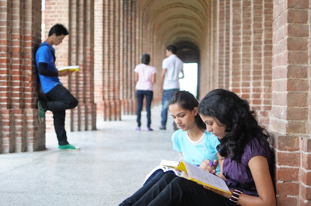 students studying on campus